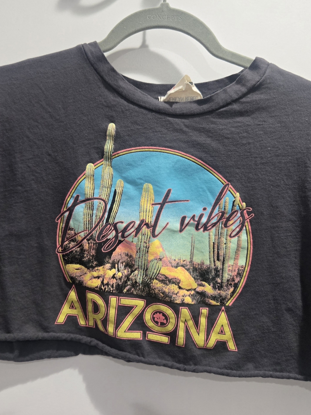 Desert Vibes Arizona Graphic Crop Tee - Black/Grey